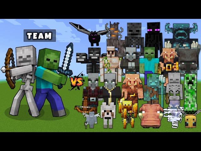 Zombie with Iron Sword & Skeleton vs All Mobs in Minecraft - Minecraft Mobs Battle