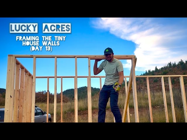 Lucky Acres: Framing The Tiny House Walls and Talking about the Will Survives Situation (Day 13)