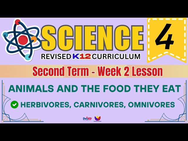 SCIENCE 4 | WEEK 2 LESSON | SECOND TERM | ANIMALS AND THE FOOD THEY EAT | REVISED CURRICULUM