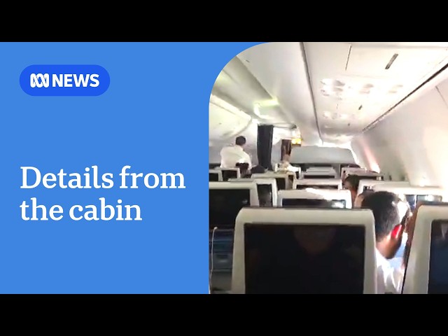 Co-pilot praised for heroics in preventing flydubai plane 'disaster' | ABC NEWS