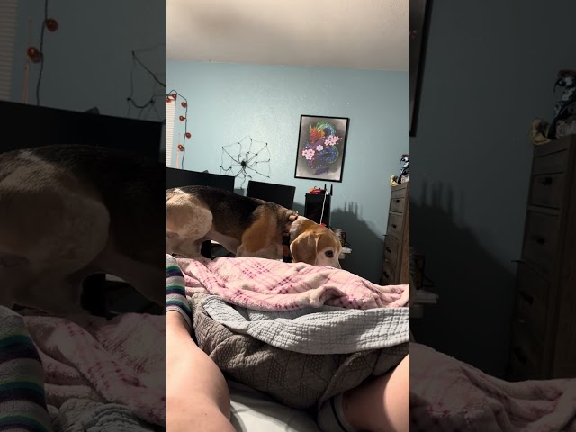 Update on Flash (Warning: I get emotional 🥲)