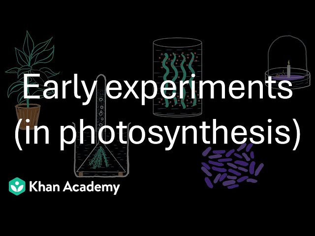 Early experiments in photosynthesis| Photosynthesis | Grade 11 | Biology | Khan Academy