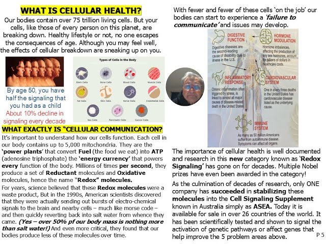 Redox P5 What is a Cellular Health FUNday