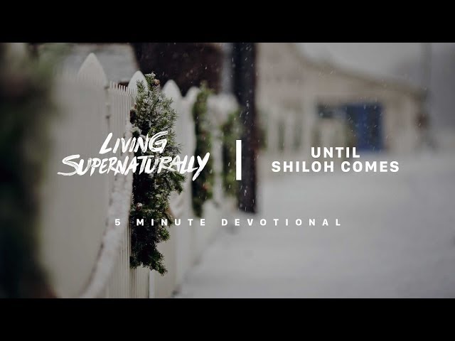 Until Shiloh comes (Tuesday December 18)