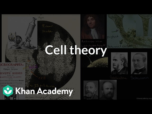 Cell theory | Grade 11 | biology | NCERT | Khan Academy (IN accent)
