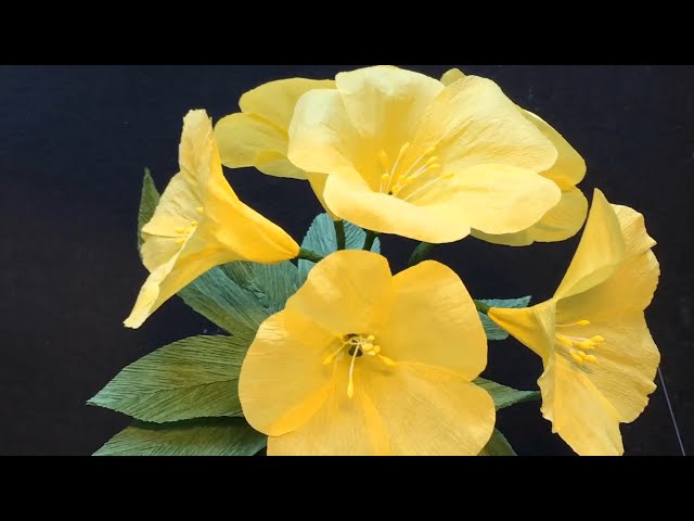 5 Minute Craft - How To Make Allamanda flowers From Crepe Paper | by Dzung Mac