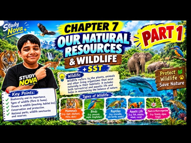 part 1 like and subscribe for part 2