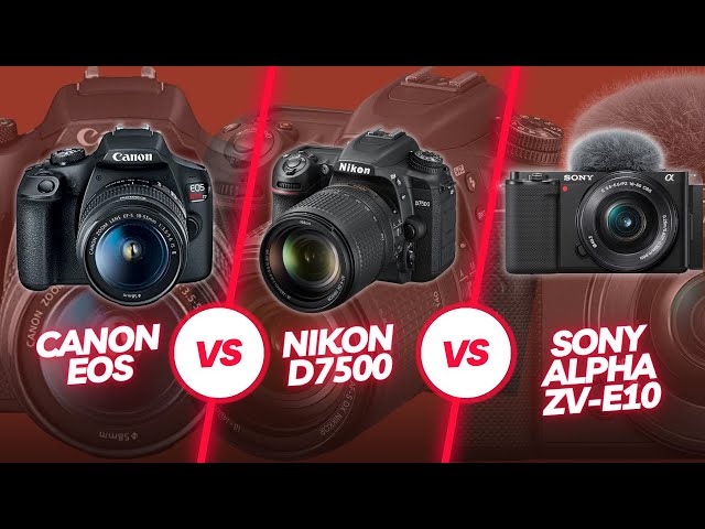 Canon vs Nikon vs Sony: A Complete Camera Comparison Guide