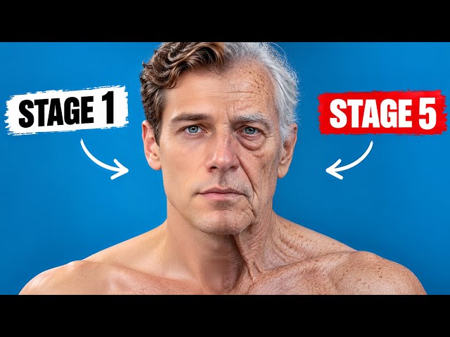 Every Stage Of Aging Explained in 24 minutes 