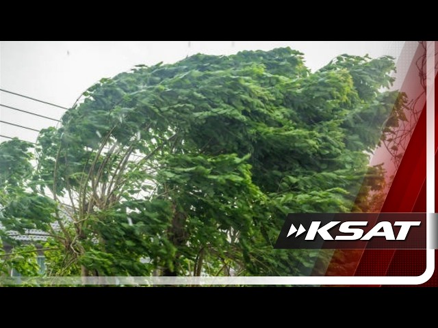 San Antonio cold front prep: What to do tonight before 50 mph wind gusts arrive