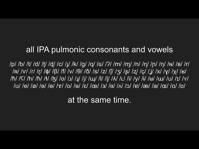 All IPA Pulmonic Consonants and Vowels at the same time