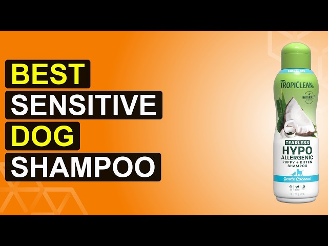 Top 5 Best Sensitive Dog Shampoo | Gentle Dog Shampoo Bliss