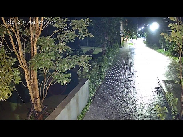 Redwood Development Camera 2