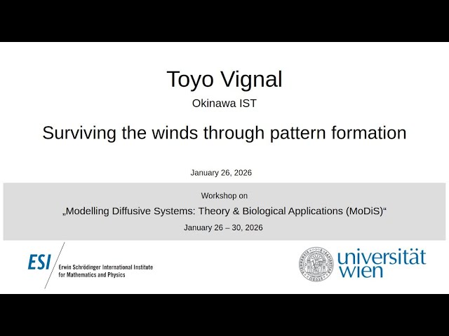 Toyo Vignal - Surviving the winds through pattern formation