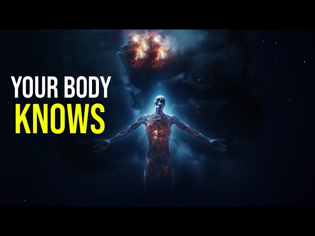Symphony of Your Senses | How Your Body Understands the World | Science Documentary