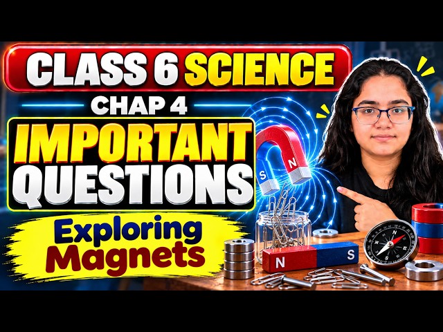 NCERT Class 6 Science Chapter 4 Important Questions | Exploring Magnets | Intext, Exercise & CBQs