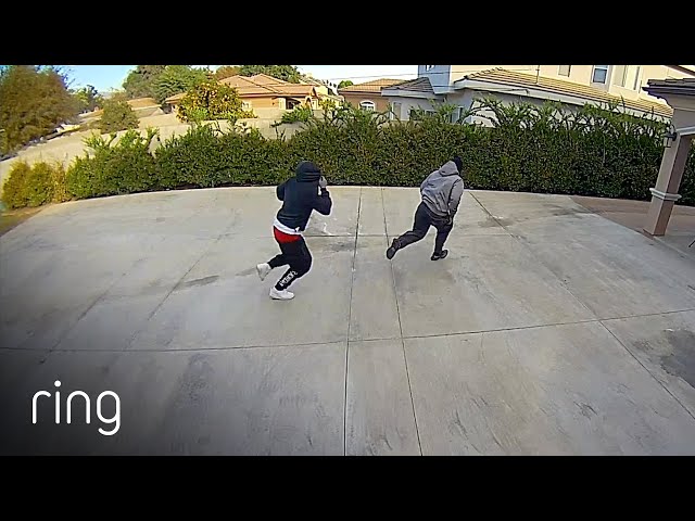 Turning on Ring Floodlight Cams Two-Way Talk Sent These Two Running | RingTV