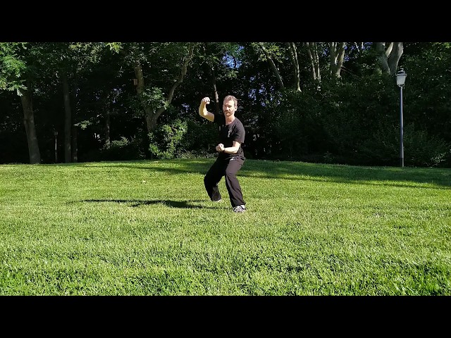 Forme en 8 mouvements du tai chi chuan style Chen (ba shi 八式)