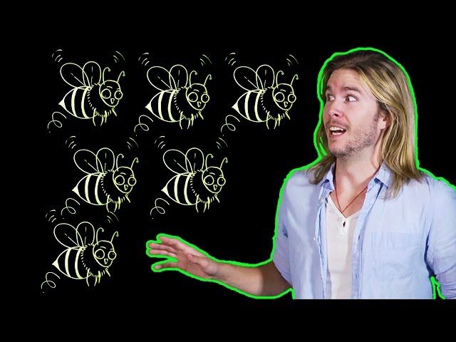 The Hive Mind in the Real World (Because Science w/ Kyle Hill)