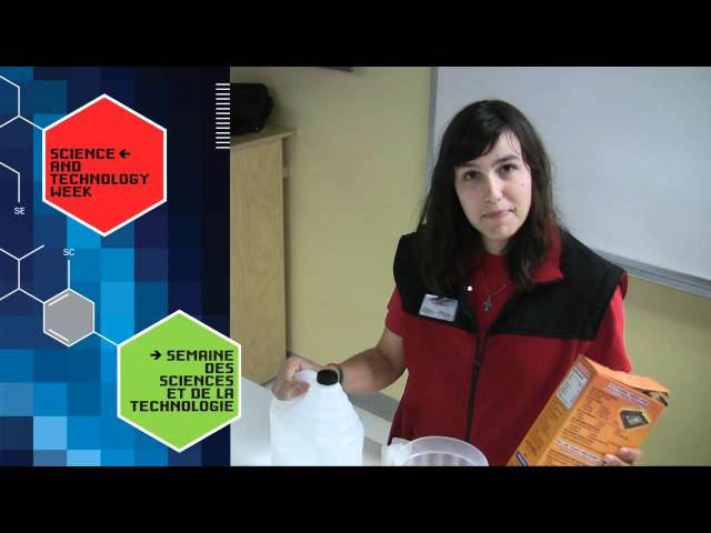 National Science and Technology Week Champion | Andrea