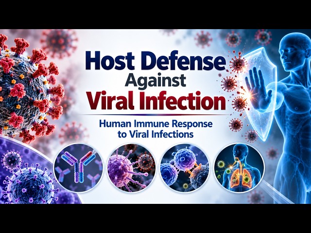 Host Immune response to viral infection
