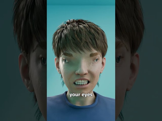 Why Animals Have Different Eye Positions 🤔