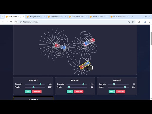 Coding an Interactive MRI Simulator with AI & Exploring BioniChaos Science Tools