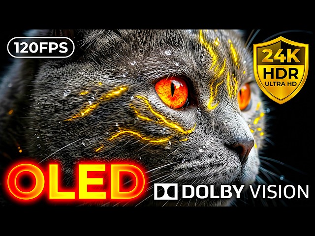 24K HDR 120FPS Secret Wildlife Wonders: Dolby Vision OLED Test (8K/4K Video)