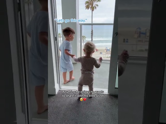 Toddler's ADORABLE Reaction To Showing Baby Sister The BEACH!
