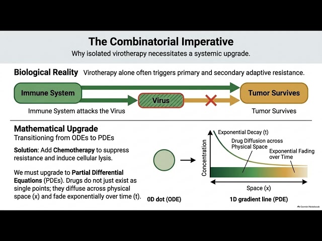 The Math Behind Cancer Treatment: Modeling Virotherapy & Immune Dynamics with ODEs & PDEs