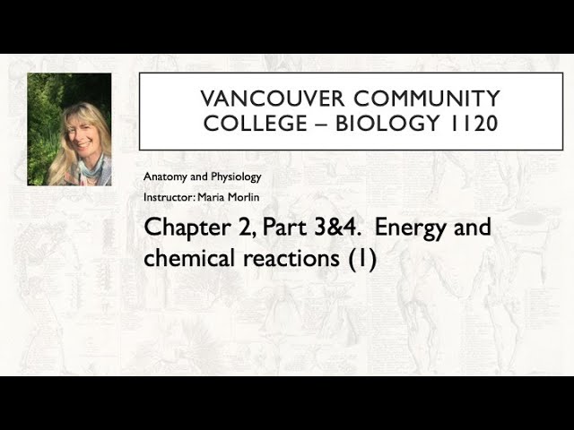 1120 Ch2 Part 3&4 energy and reactions 1