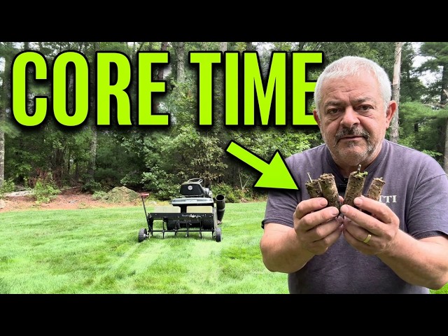 Lawn  renovation season is underway