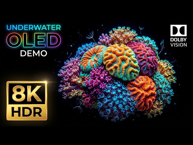 2026 True Black 8K HDR OLED Test | Dolby Vision 60 FPS