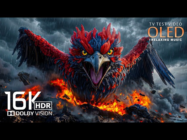Just Wow OLED HDR TEST 8K Video ULTRA HD 120FPS | Dolby Vision (8K/4K Video TV)
