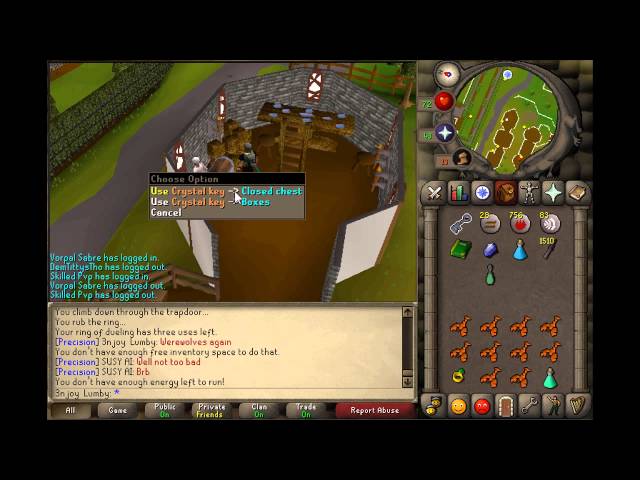 3njoy--lumby Pure Progress Vid 5 [OSRS]