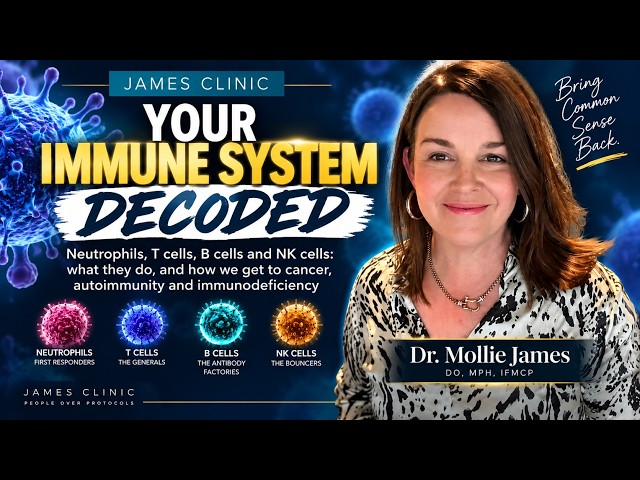 Your Immune System Explained: T Cells, B Cells, NK Cells, Autoimmunity & Cancer