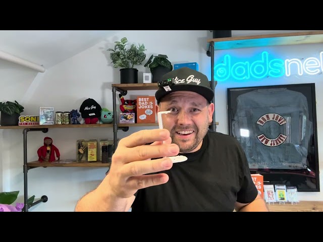 Indoor Cam Plus Dadsnet Review 2026 - Honest Review
