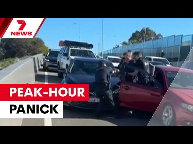 Weapons drawn as shocked commuters caught up in a freeway takedown | 7NEWS