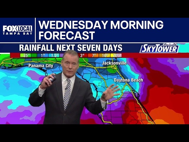 Tampa weather | Wednesday morning forecast