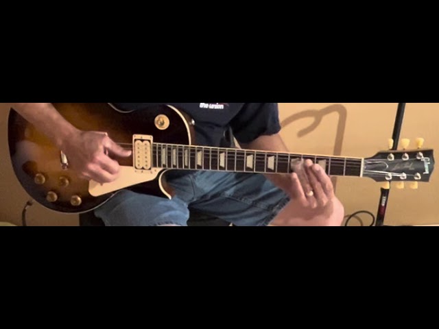 Snapping Turtle 🐢 blues