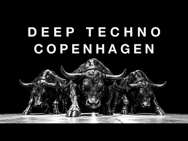 Deep Dub Techno Mix 2026 |  Copenhagen Edition | Cinematic 4K Visuals #254
