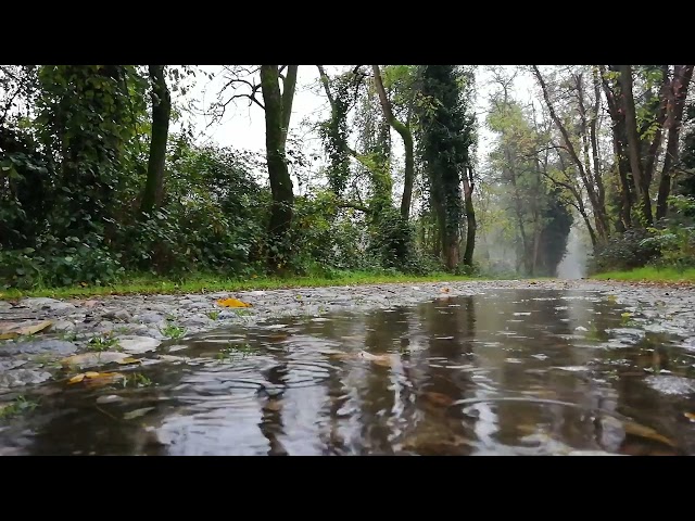 Pioggia per Dormire Profondamente, Rumore della Pioggia per Dormire, suoni per dormire, soft rain