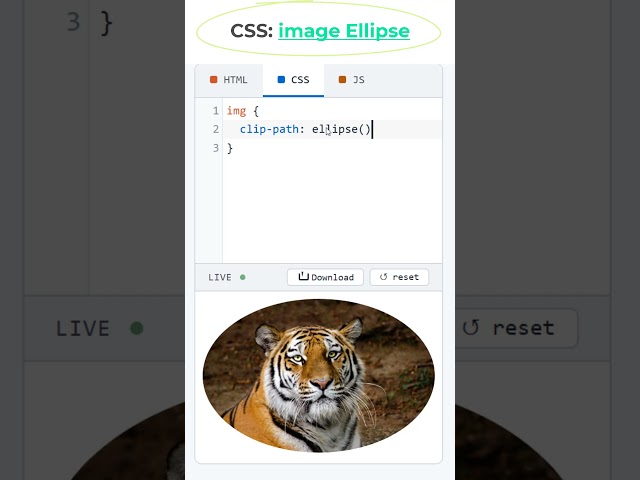HTML Image Clip Path Ellipse Size #coding #htmltutorial #csstutorial