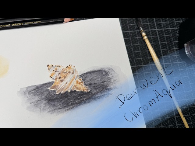 Derwent CHROMAQUA - Pros&Cons