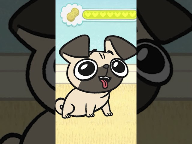 Take Care of Some Fuzzball Cuties with Rosie Care! | Rosie's Rules | PBS KIDS Games