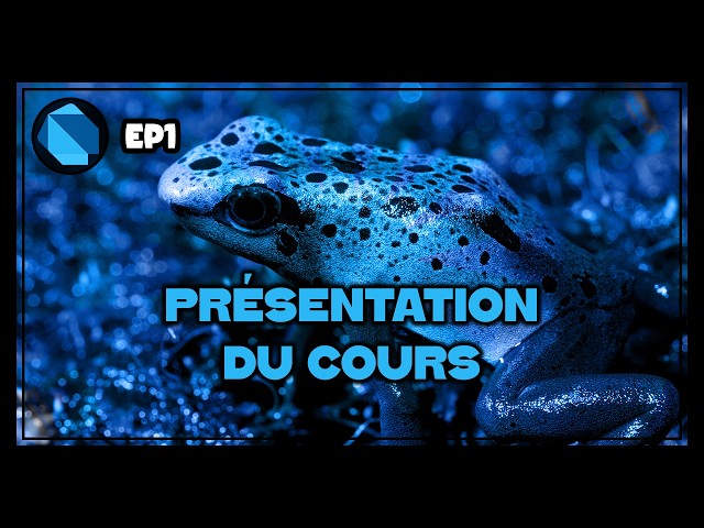 Introduction | Dart - EP1