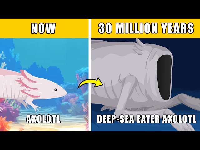 Deep Sea Eater Axolotl Speculative Evolution