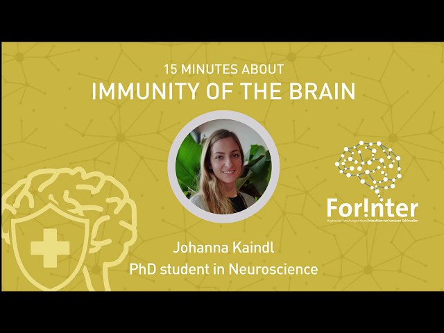 15 minutes about Brain Immune System