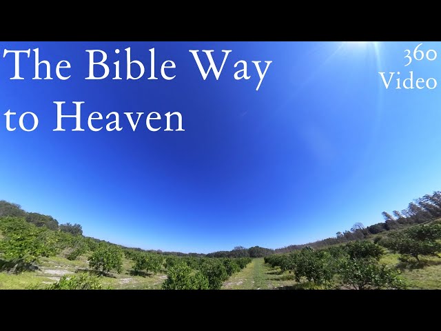The Bible Way to Heaven | 360 Video