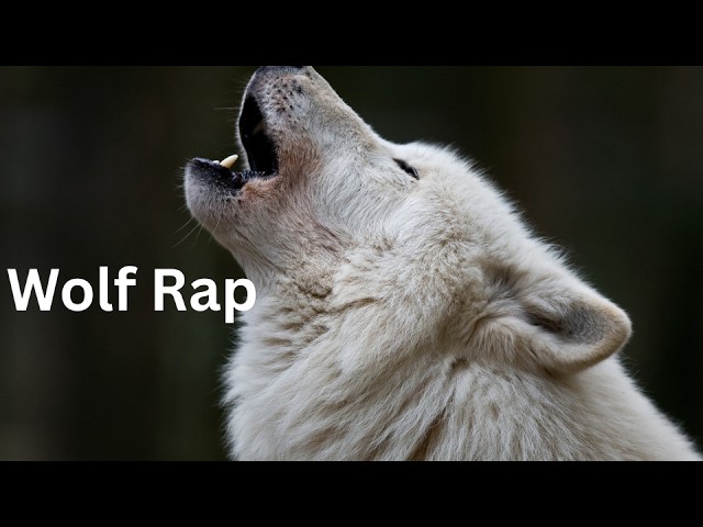 Wolf Rap "Yuno Miles" Official Video